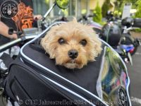 Jahrestreffen 2024 Bad Soden 305